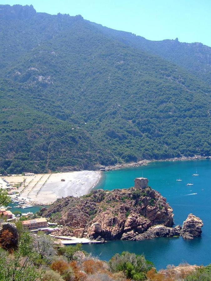 فندق La Calypso Porto  المظهر الخارجي الصورة